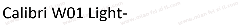 Calibri W01 Light字体转换